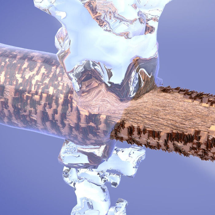 Alterna Caviar Restructuring Bond Repair Shampoo 40ml - Cancam