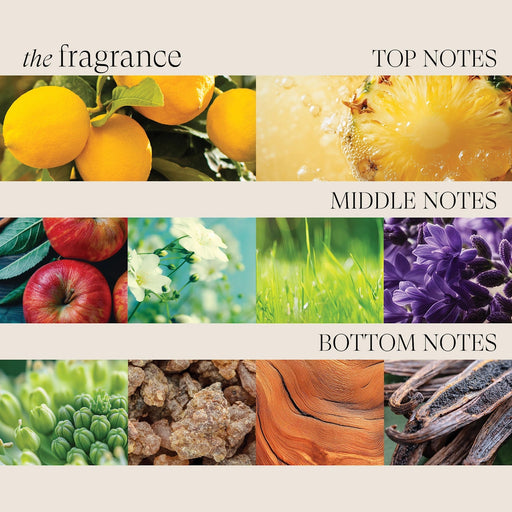 Lanza Healing Colorcare Trauma Treatment 150ml - Cancam