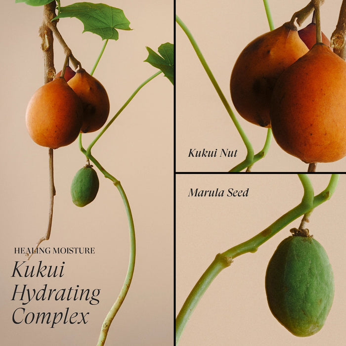 Lanza Healing Moisture Conditioner 250ml - Cancam