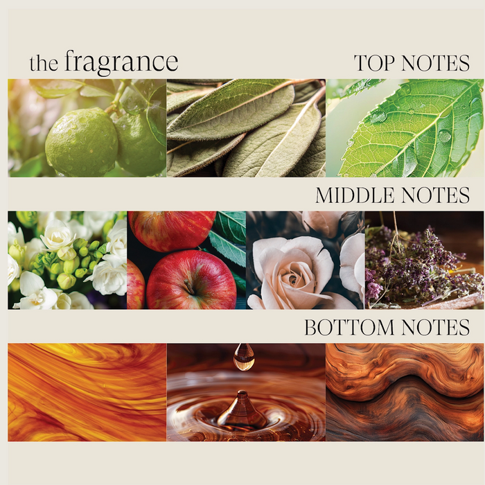 Lanza Healing Style Terminal Defence 200ml - Cancam