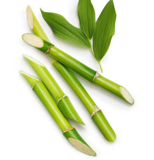 Lanza Root Effects 200ml - Cancam