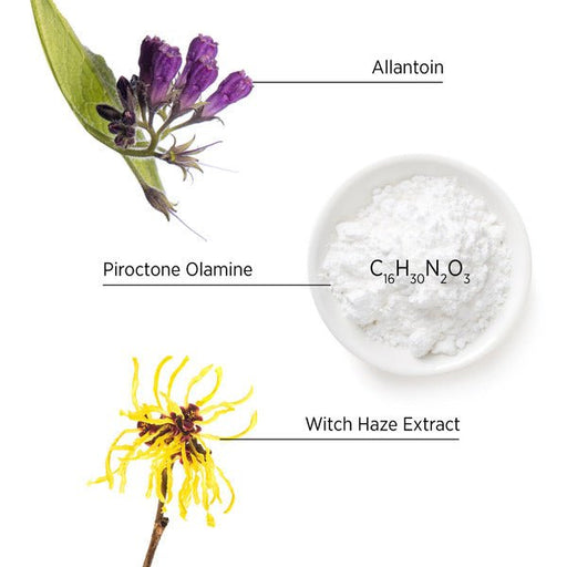 System Professional Purify Shampoo 1000 ml - Cancam